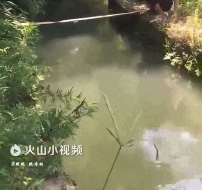 amor,lograr,cosas,increibles