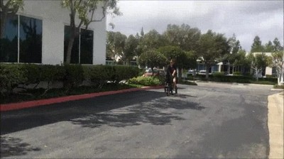 bicicleta,exc&eacute;ntrica,caballo