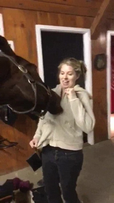 caballos,salido,chica,cremallera