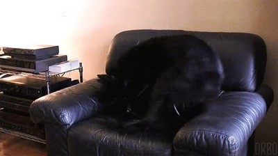 sentarse,imprescindible,buscar,postura,correcta