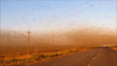 invasi&oacute;n,empezar,marcha,atr&aacute;s