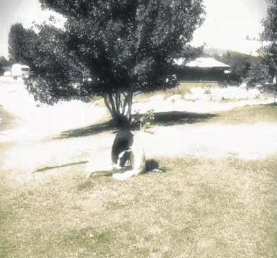 atentos,nuevo,truco,fail,wasted