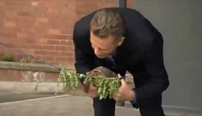 universidad,lincoln,inauguraci&oacute;n,tortuga