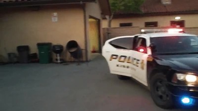 polic&iacute;a,cachorro