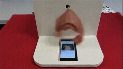 carne,pasar,swipe,tinder