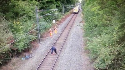 tren,atropello