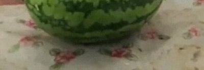 sand&iacute;a,cabeza,troleo,romper