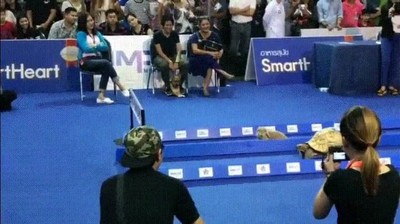 Aquellos que no recuerdan el pasado están condenados a repetirlo recordar,pasado,repetir,fabula,tortuga