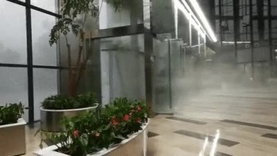 recepci&oacute;n,hotel,pasar,tif&oacute;n