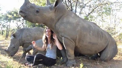 truco,infalible,dormir,rinoceronte,segundos