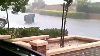 contenedores,carrera,calles,ciudad