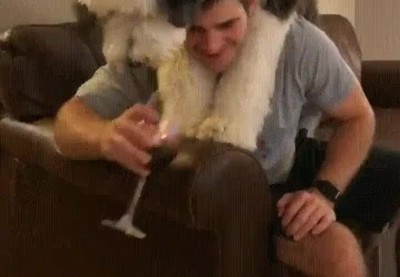 perro,otra vida,catadores,vino