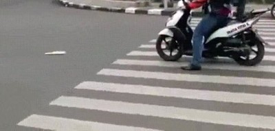 paso,cebra,peaton,lecci&oacute;n