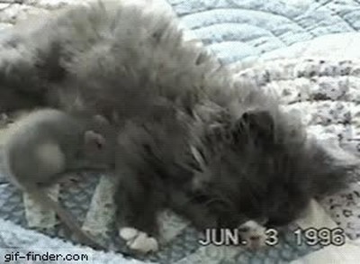 Enlace a Hemos crecido con una mentira. Pueden ser los mejores amigos