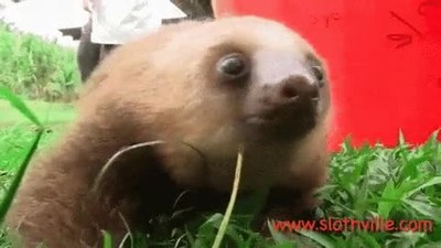 Enlace a Todos conocemos a alguien que es así en la vida real