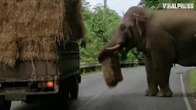 Enlace a Pues ahora te quedas sin mercancía, por listo 