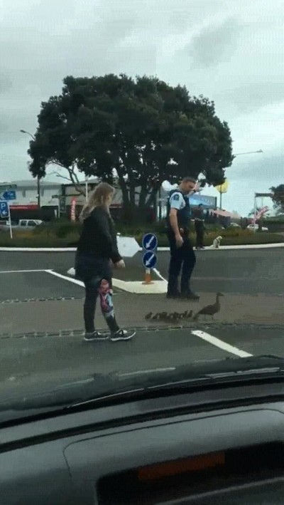 mama,pato,chavales,ayuda,calle