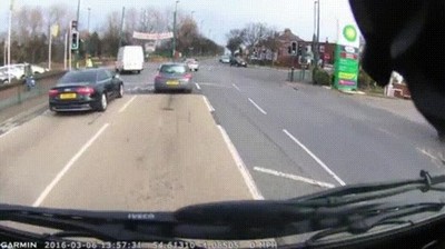 carretera,atento,cruzar,caballo