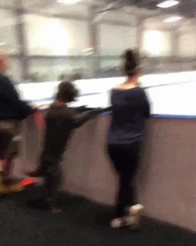 perro,disfrutar,partido,hockey