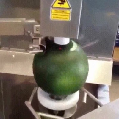 Cortadora de sandías buscando la circumferencia perfecta cortadora,sandías,buscar,circumferencia,perfecta