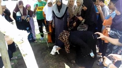 Gato que se niega abandonar la tumba de su dueño recién fallecido gato,abandonar,tumba,dueño,fallecido