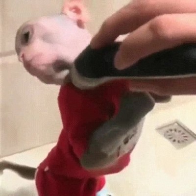 conocer,alguien,cortar,pelo