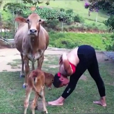 yoca,tranquilamente,empujar