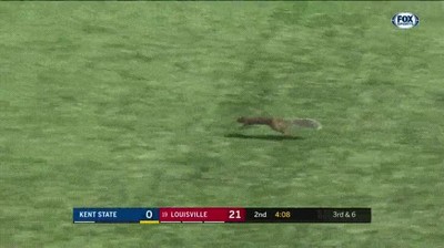 Enlace a Ardilla anotando un touchdown. Por primera vez es la gran estrella