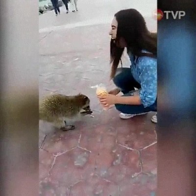 típico,dar,mano,comida