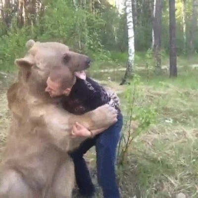 colega,sentimental. abrazos,oso