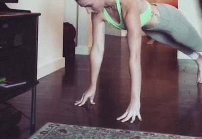 perro,ayudar,entreno,gimnasio