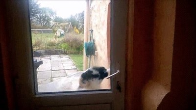 hola,casa,abrir,puerta