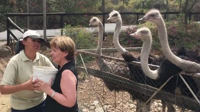 abrir,paquete,chicles,clase