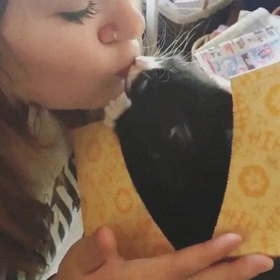 Enlace a Pocas veces le darán un beso tan apasionado