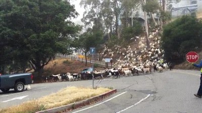 primer,d&iacute;a,rebajas,ciudad