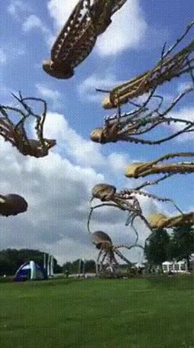 cometas,dejar,rallado,pulpos