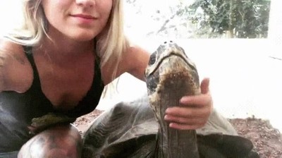 desear,ser,tortuga,ahora mismo,mimos