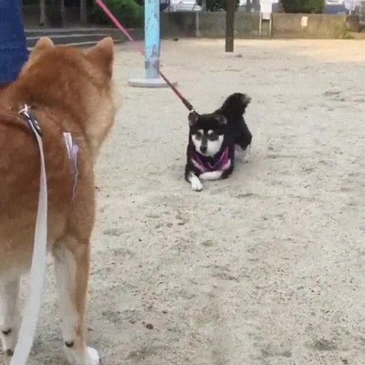 truco,ligar,acercarse,ninja,sonrisa