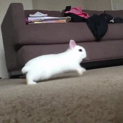 chica,gustar,tomar,algo,salto,felicidad