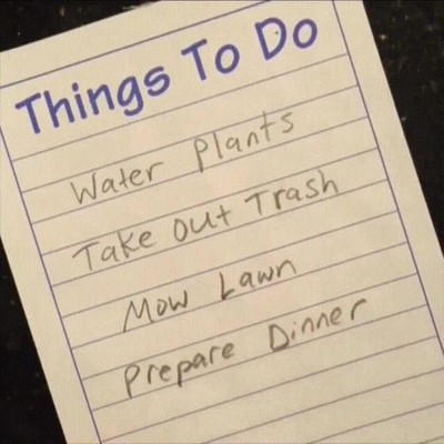 perro,decidir,colaborar,tareas,casa