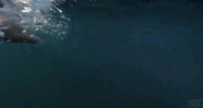 aterrador,mundo,talasofobia,nadar