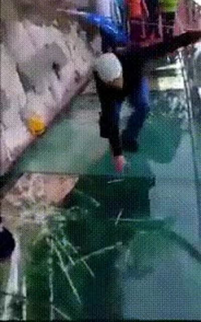 puente,recomendado,gente,asustadiza