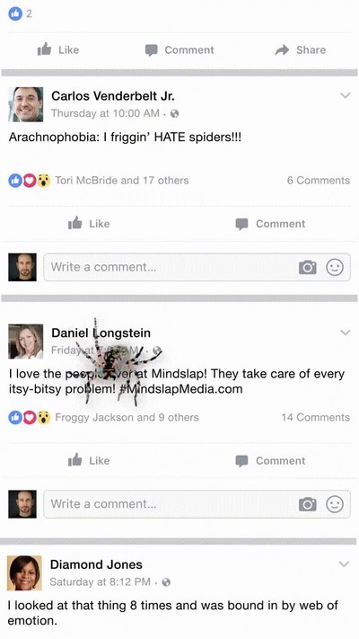 recomendable,miedo,ara&ntilde;as,pantalla