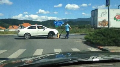 gente,pasear,coche,perro