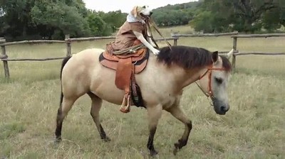 perro,montar,caballo,red dead redemption