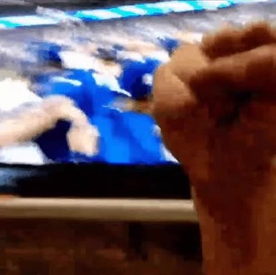 chavales,demostrar,j&oacute;venes,pasi&oacute;n,equipo