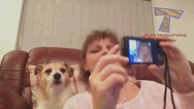 algo me dice,perro,demasiado,fan,selfies
