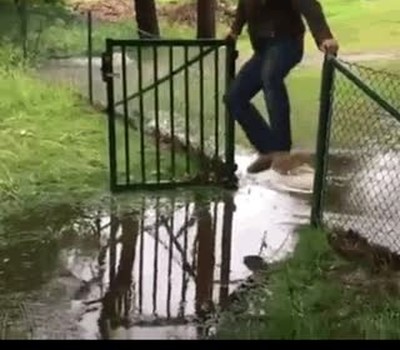 en forma,evitar,charco,dias,lluvia