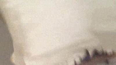 cara,sofa,liada,perro