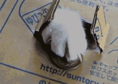 revelar,final,secreto,seven